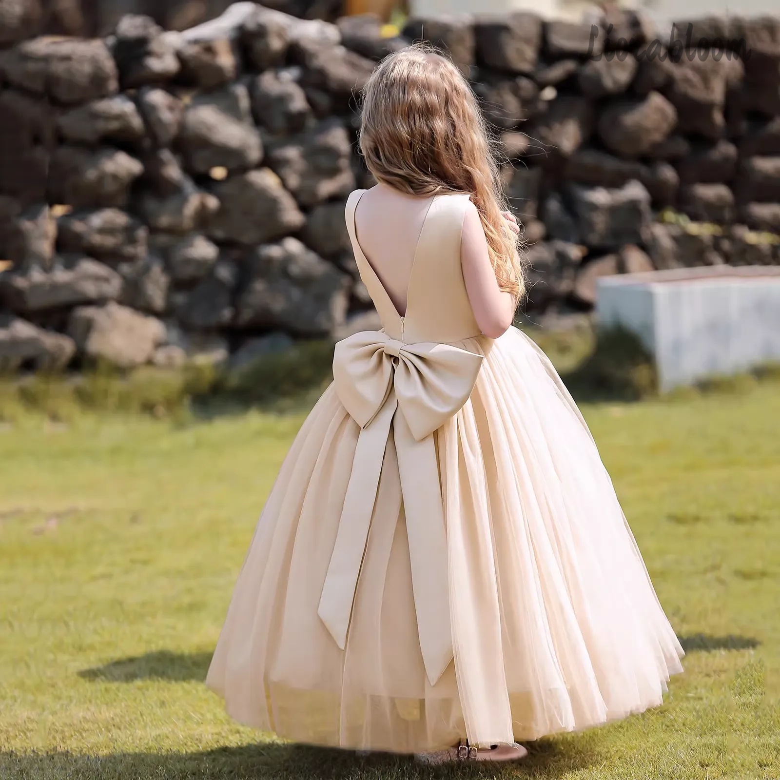 Multicolor Backless Princess D - Women'S Elegant Formal Wear ulasan dan harga