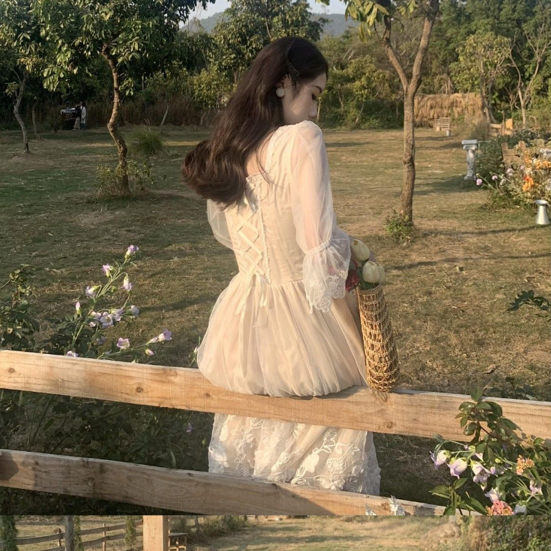 French Vintage Midi Dress Wome - Victorian Women'S Formal Wear ulasan dan harga